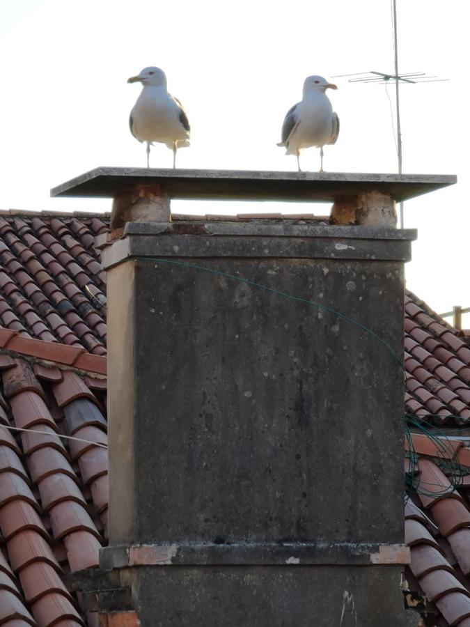 Friendly Guest house